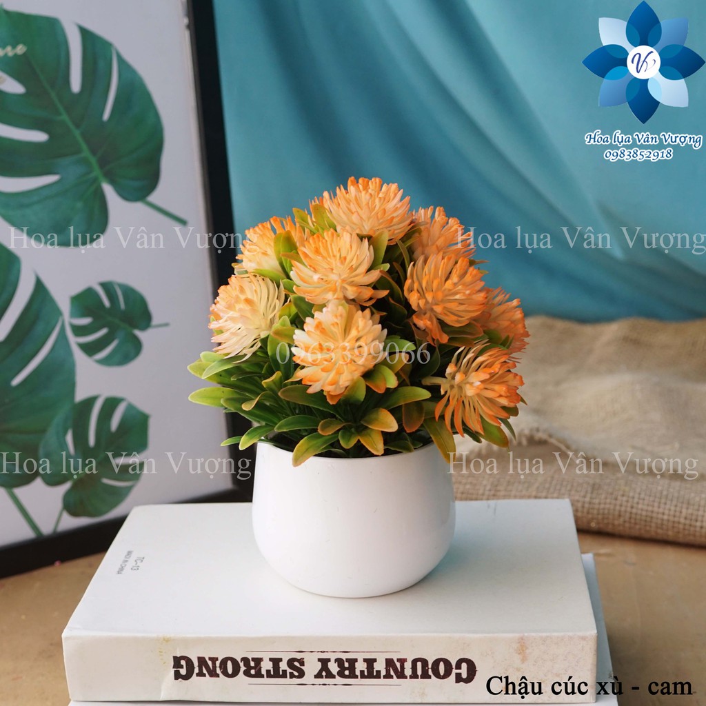 Hoa Giả 🌺FREESHIP🌺 Chậu Hoa Nhựa Để Bàn