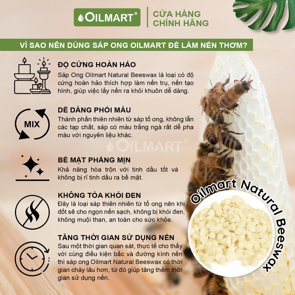 Sáp Ong Tự Nhiên Oilmart Natural Beeswax dạng viên, màu trắng ngà làm nến, son, kem dưỡng.