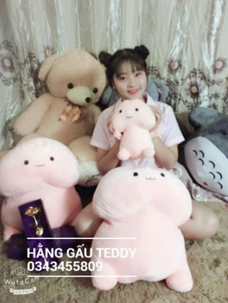 Cu ciu ( ảnh thật đằng sau )