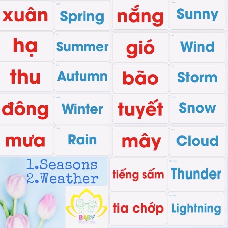 FLASHCARD GLENN DOMAN 100 Thẻ Chữ Song Ngữ 26×14 cm chuẩn Ivory 350