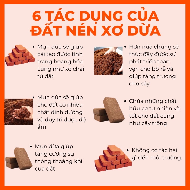 Viên Đất Nén Xơ Dừa Tiện Ích diệt khuẩn kháng sâu bệnh bổ sung vi sinh hữu cơ cho cây trồng - hoa - rau các loại