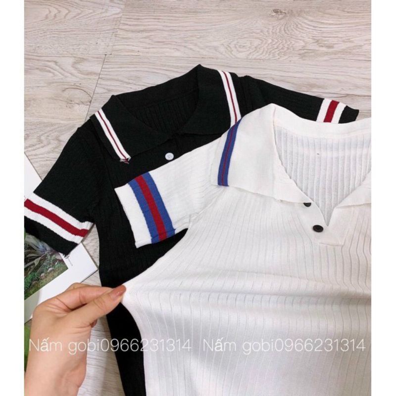 Áo thun body tay ngắn cổ bẻ phối sọc (A15