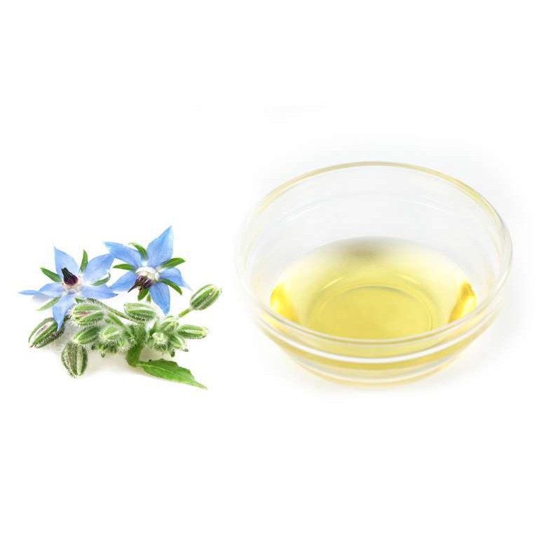 DẦU HẠT HOA LƯU LY (BORAGE SEED OIL)
