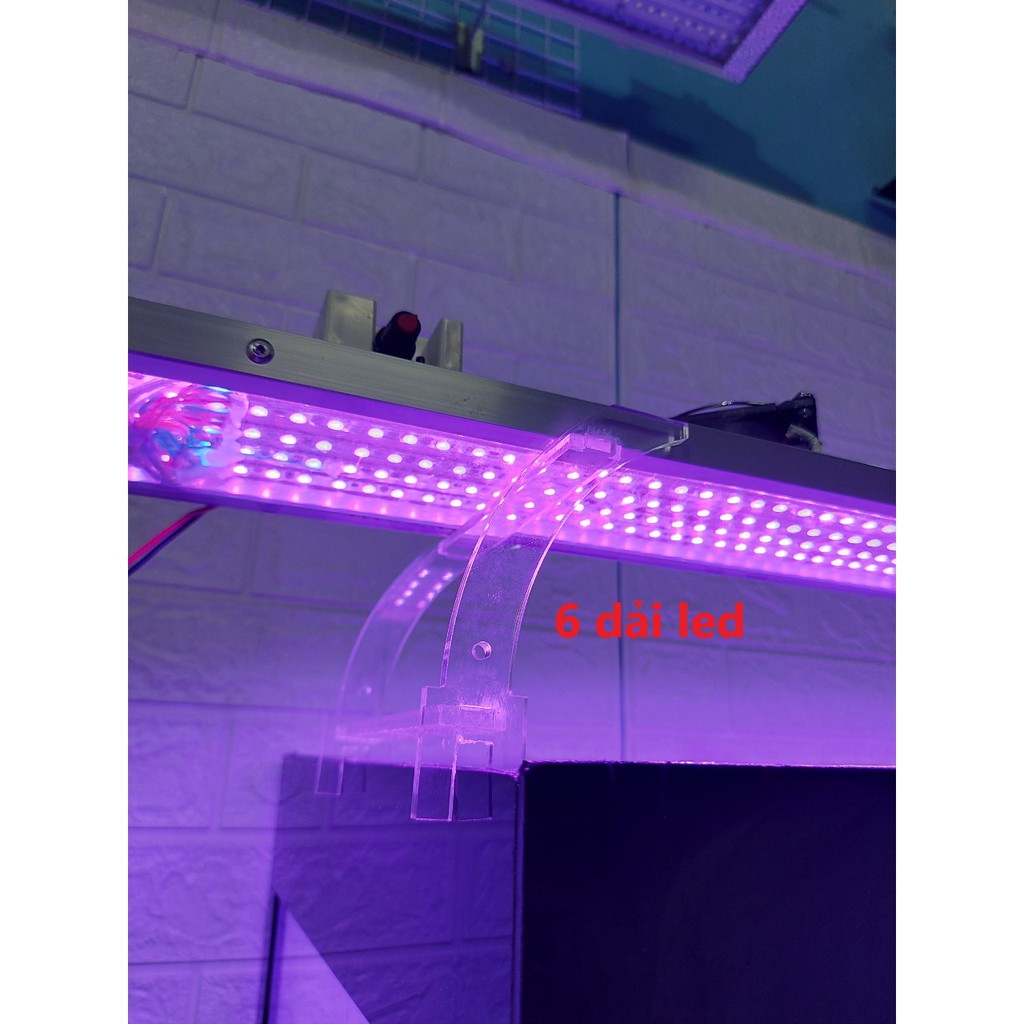 (Ảnh thật) Đèn Led thủy sinh, đèn hồ cá Led 5050 RGB,6 dãy Led,7 màu, chuyển màu và tăng giảm độ sáng, 60-90cm