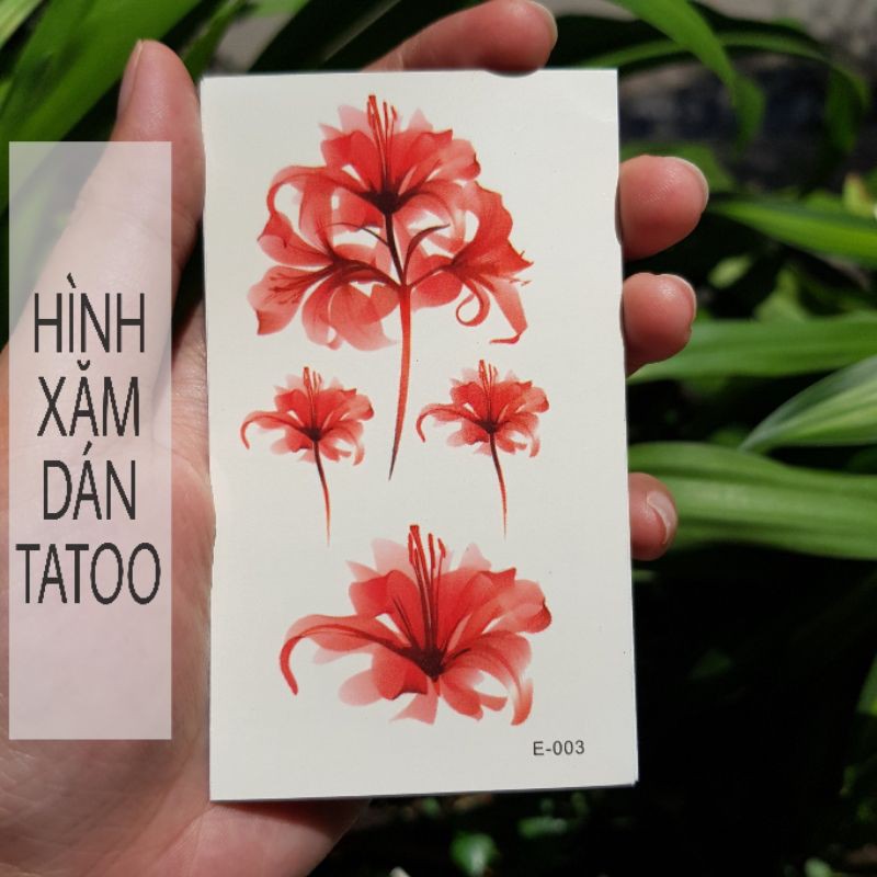 Hình xăm hoa bỉ ngạn mini e03. Xăm dán tatoo mini tạm thời, size &lt;10x6cm