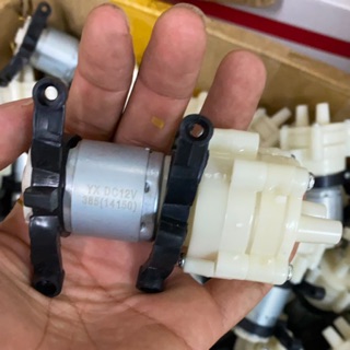 Động cơ bơm nước mini