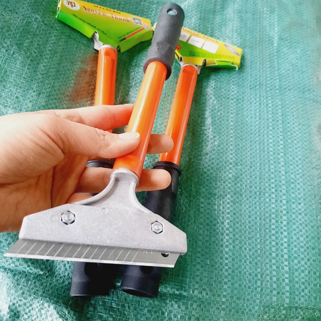 Cây sủi tường NANO ,sủi bả làm sạch tường