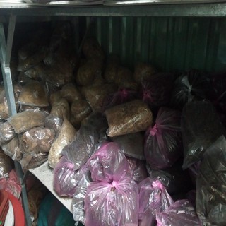 Dớn mềm trồng lan bịch 100g