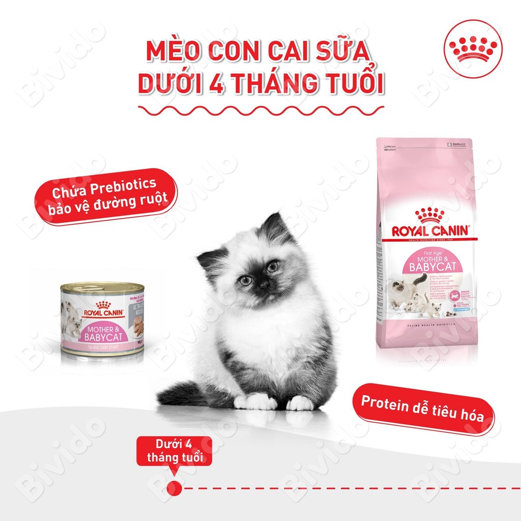 Thức ăn mèo Royal Canin Mother &amp; Babycat mèo mẹ mèo con cai sữa túi 1kg - Bivido