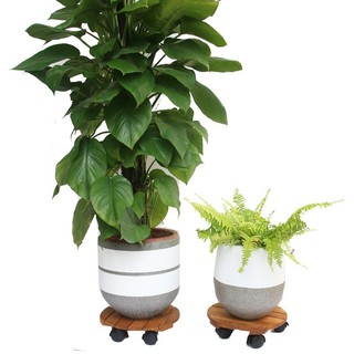 ĐẾ GỖ ĐỂ CHẬU CÂY CÓ BÁNH XE