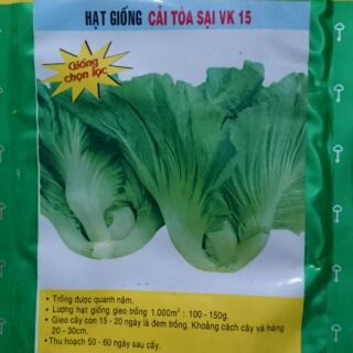 Cải toà sại (muối dưa)