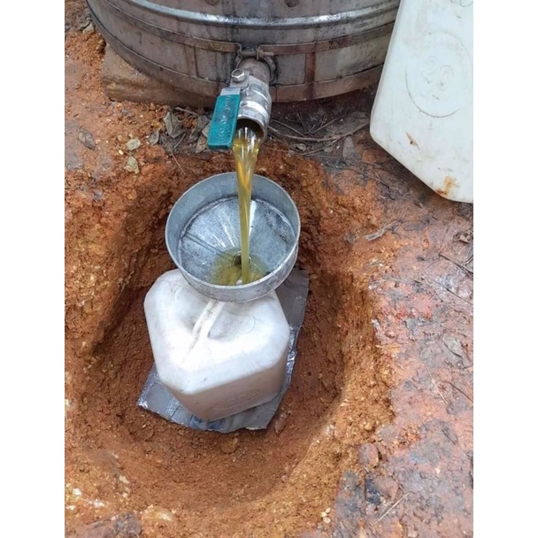 Mật ong vải bắc giang