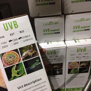 Đèn UVB dành cho Bò Sát