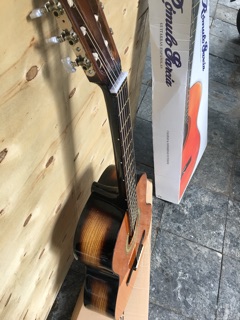 Đàn guitar VN 