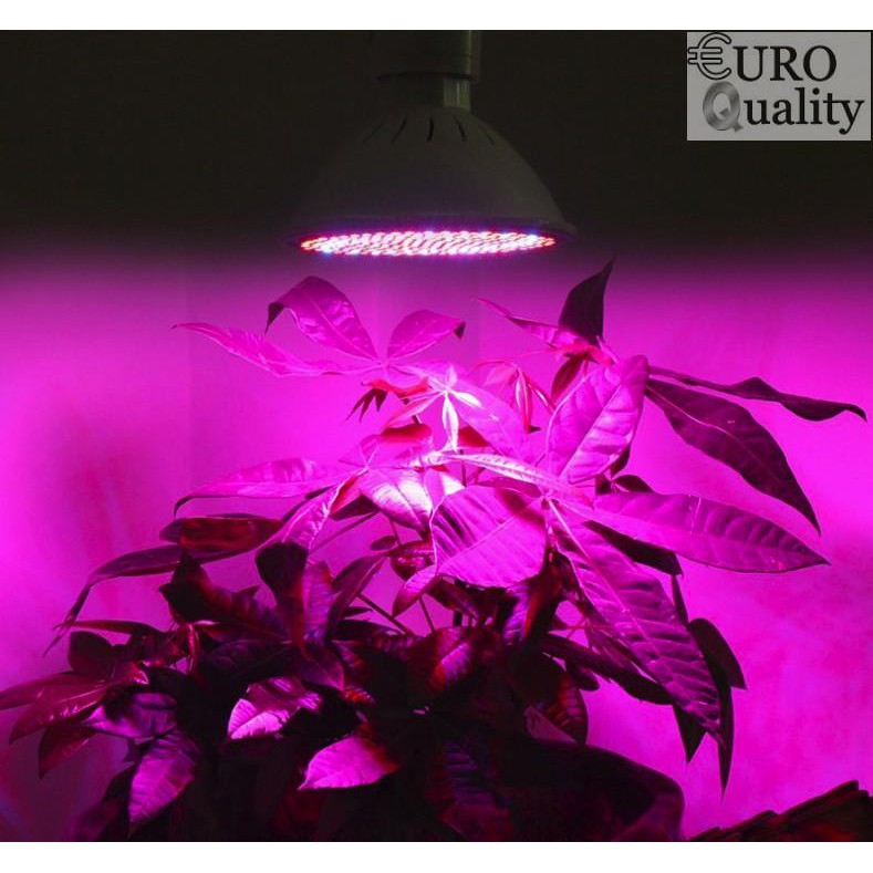 Đèn LED chuyên dụng hỗ trợ trồng cây tròn nhà 20W