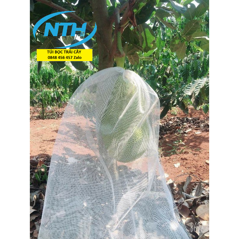 50 CÁI TÚI BỌC MÍT LOẠI TỐT 50*70