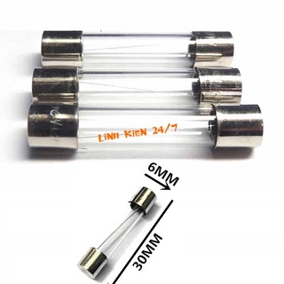 Bộ 10 cầu chì ống thủy tinh 6x30 10a 15a 250v