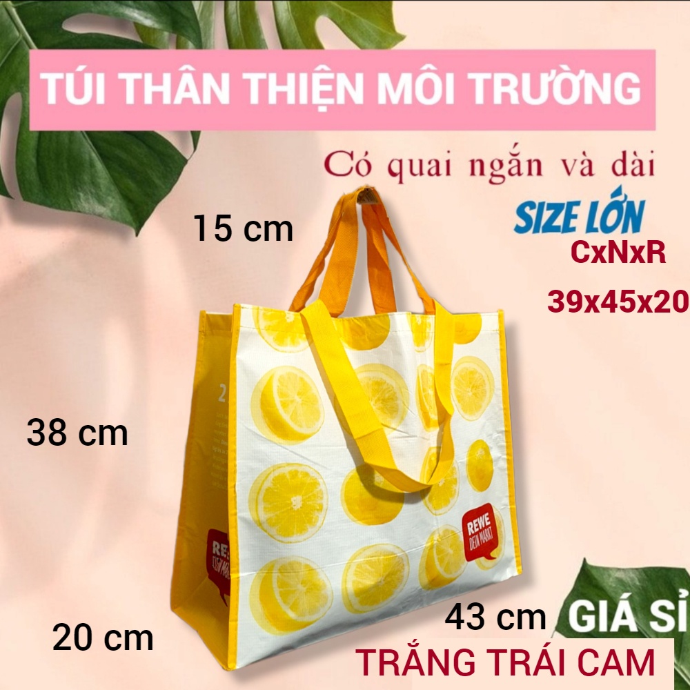 HAI QUAI - TÚI SIÊU THỊ, THÂN THIỆN MÔI TRƯỜNG, ECO SHOPPING BAG, BỀN, ĐỰNG ĐỒ NẶNG, SIZE LỚN