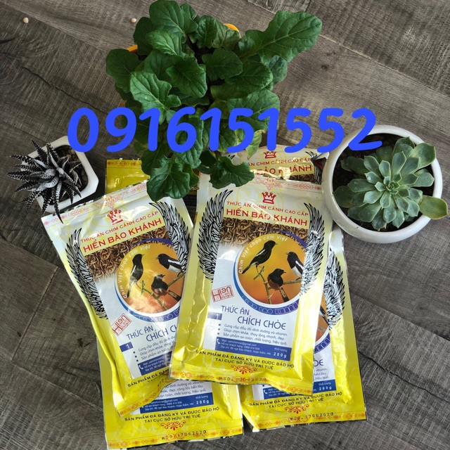 Thức ăn cho chim chích choè số 1