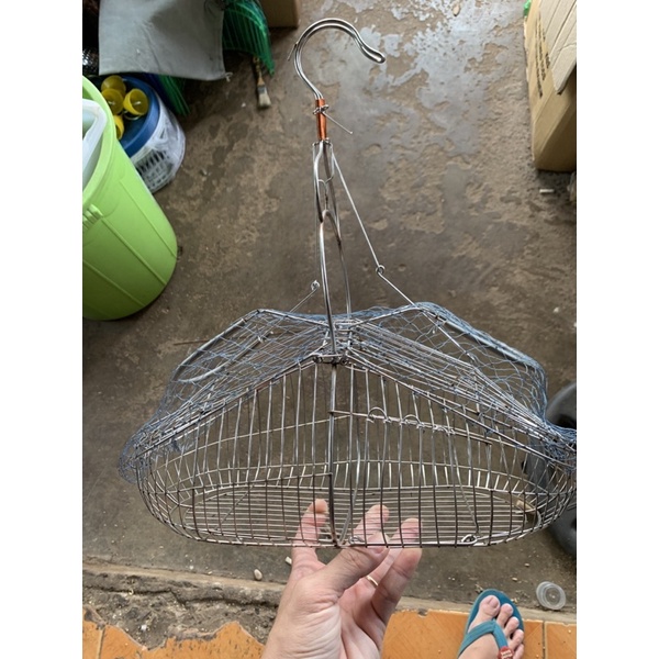 Combo lụp bẫy inox chim chào mào, choè....