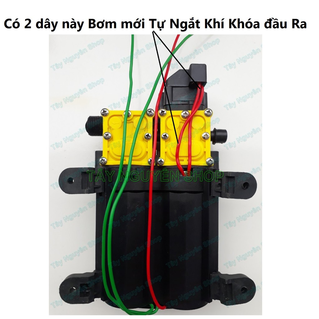 Máy bơm đôi SUMO tăng áp lực nước mini 12V 130W Lưu lượng 10-12 LPM - Máy Rửa Xe,Xịt Rửa