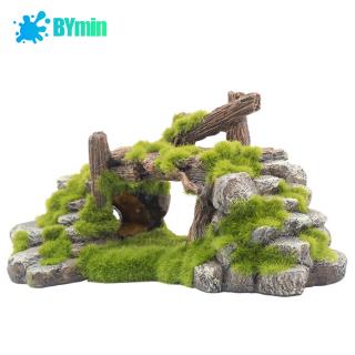 Cầu Rêu Trang Trí Hồ Cá