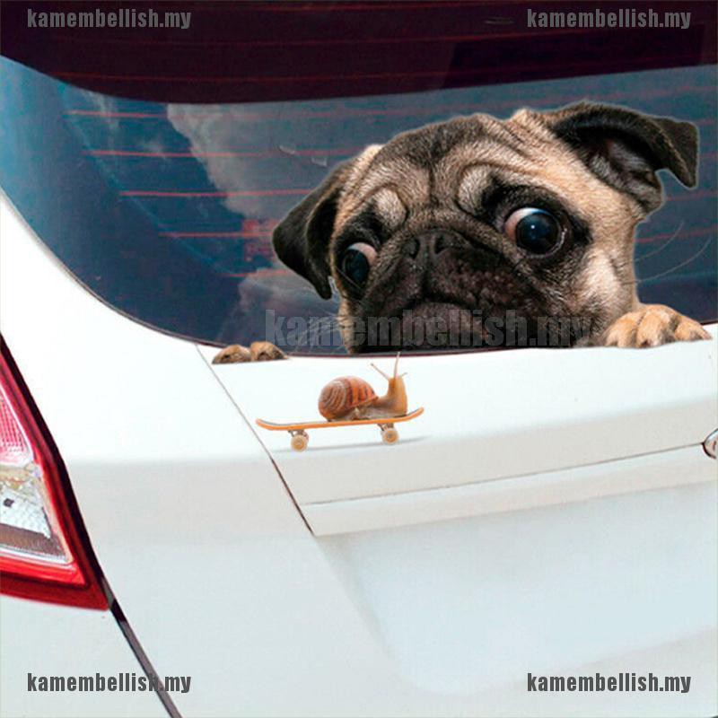 Decal Dán Hình Chó Pug 3d Vui Nhộn