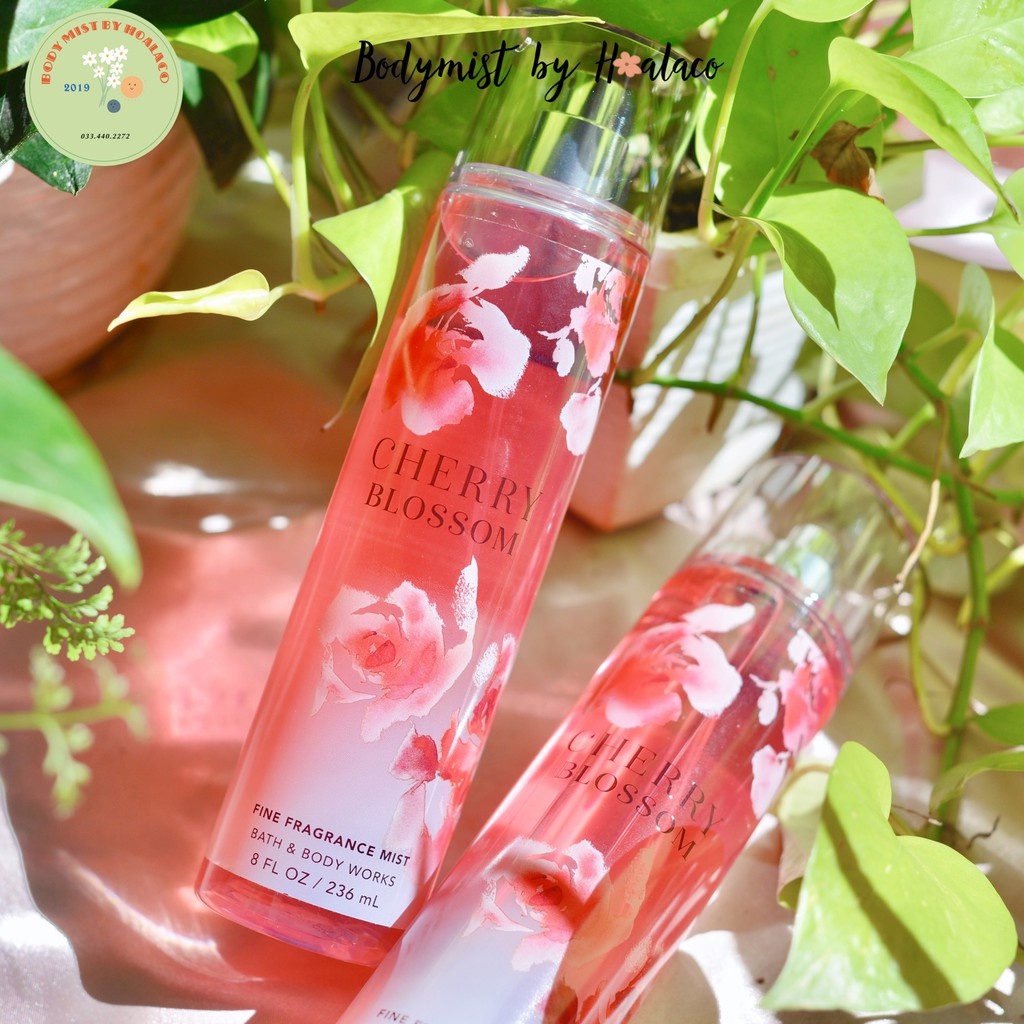 BODY MIST - Xịt thơm toàn thân CHERRY BLOSSOM Bath & Body Works