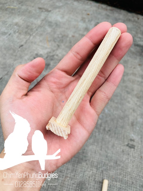 CẦU GỖ 10cm gắn lồng chim (cầu phụ)