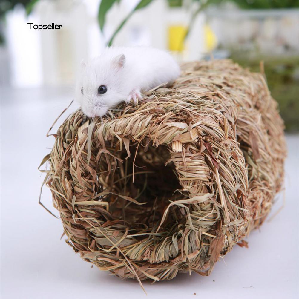 Lồng cỏ kích thước 19cm x 9.5cm x 9.5cm để trang trí chuồng nuôi chuột Hamster