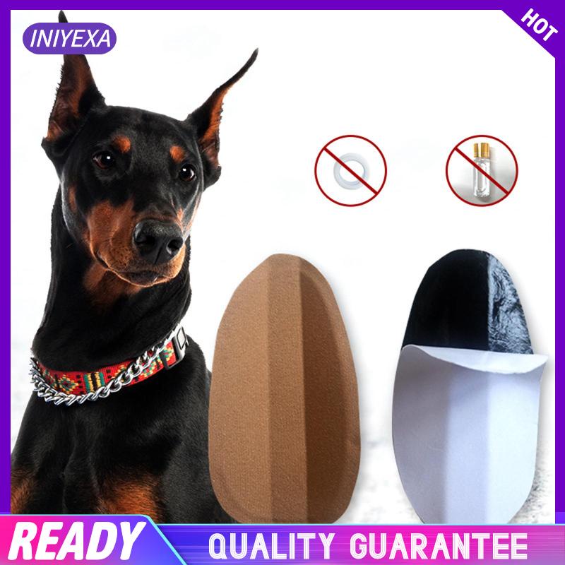 Giá Đỡ Chỉnh Tai Chó Doberman Pinscher / Samoyed Tiện Dụng