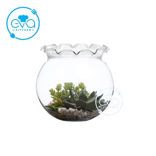Hồ Cá Bể Cá Có Miệng Bèo Thuỷ Tinh Mini B7 9 x 10 Cm Tặng Kèm Sỏi Và Rong Trang Trí