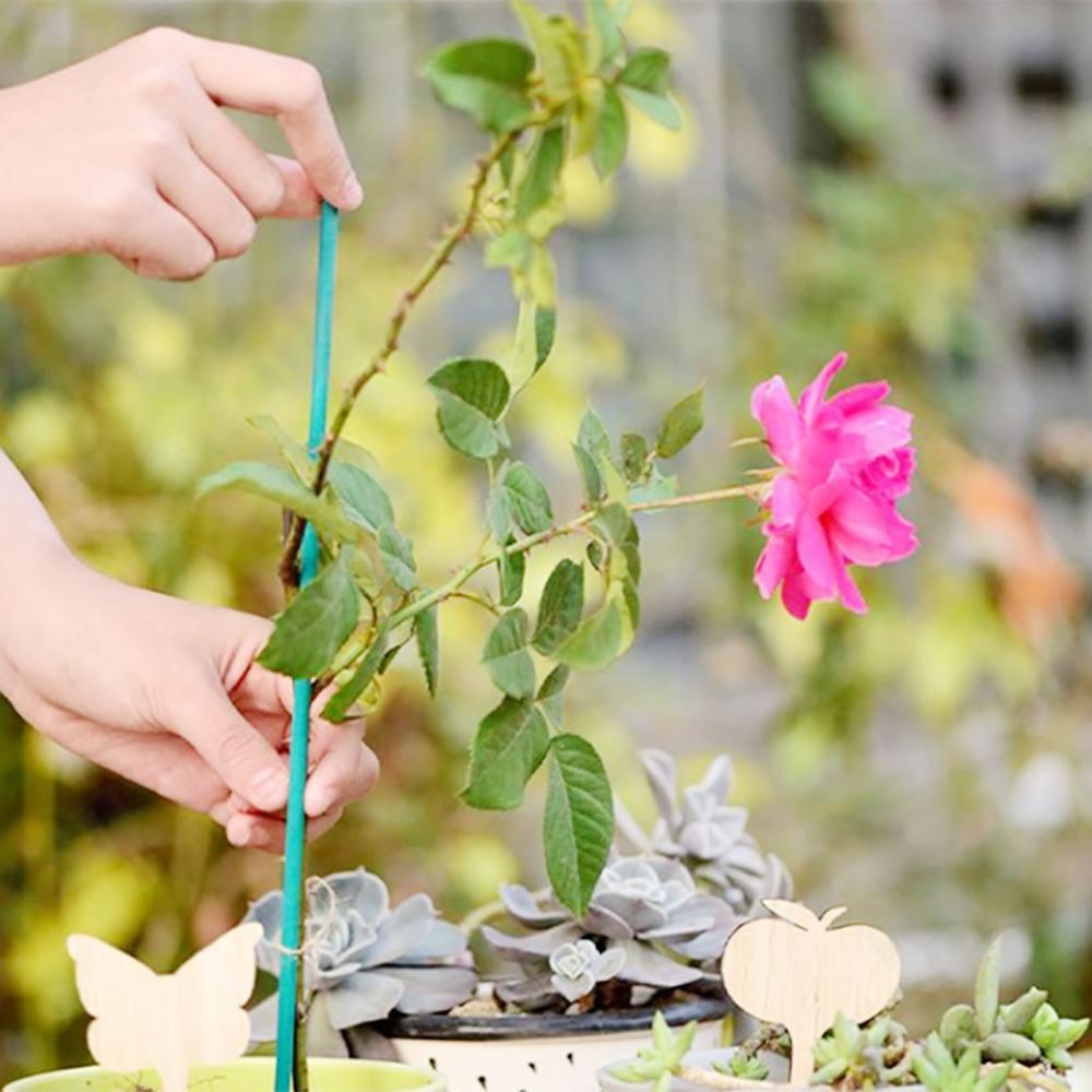 Que Tre Hỗ Trợ Trồng Cây Thân Dài 40cm