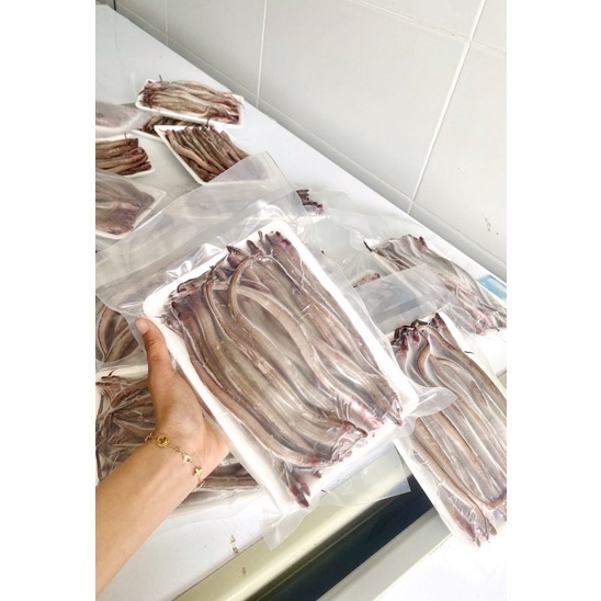 Cá Sụn Sịn -Q12