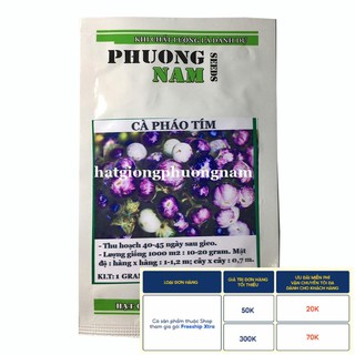 1GR - HẠT GIỐNG CÀ PHÁO TÍM