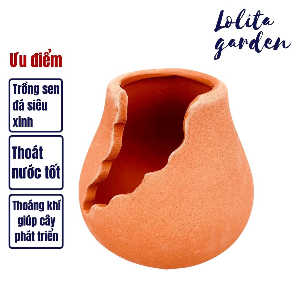 CHẬU XẺ ĐẤT NUNG NÂU MINI ĐƯỜNG KÍNH 5cm SIÊU XINH SIÊU KHỎE LỖI 1 ĐỔI 1