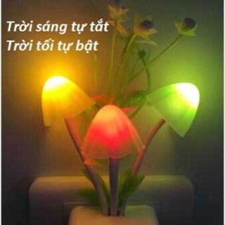 Đèn ngủ cảm ứng giá buôn