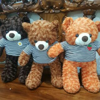 Gấu teddy ngộ nghĩnh dài 60cm