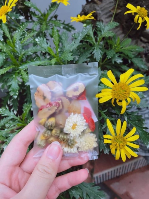 Hộp trà hoa Truyền thống cúc hoa 30 gói ( Hoa cúc, kỳ tử, táo đỏ, log nhãn) | BigBuy360 - bigbuy360.vn