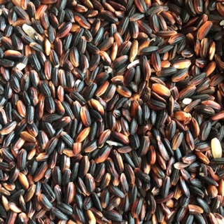 Nếp cẩm Điện Biên chính hãng có đóng gói 1 kg 2 kg 3 kg