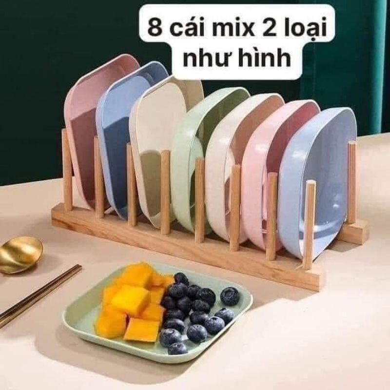 Set 8 đĩa lúa mạch vuông siêu cưng