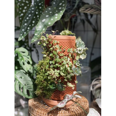 Tháp cây đứng TERRAPLANTER gốm trồng cây dương sỉ rêu tự thẩm thấu thủy canh nhiều lỗ DOOA TERRARIUM - TERRA-02