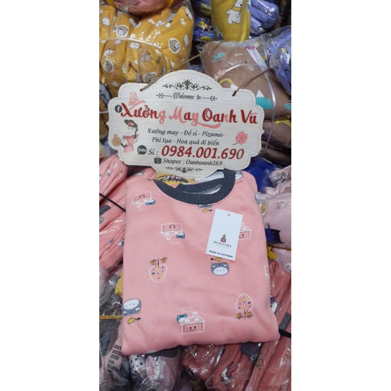 [Sỉ 5x6x] combo 10b Bộ nỉ bông loại 1 nhiều màu