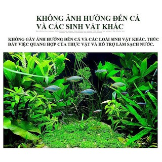 Viên Sủi CO2 60 viên