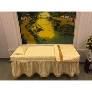 gối spa(vỏ +ruôt gối)