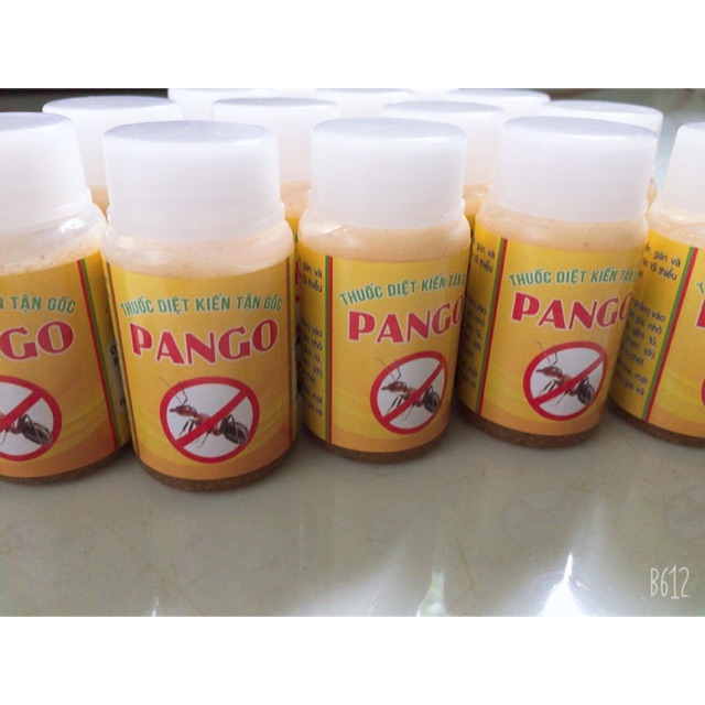 Thuốc diệt kiến, gián tận gốc