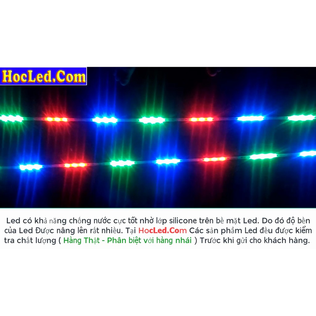 LED Dây Dán Full Color ic 1903- CHẠY Đủ Màu Tự Động Đổi Hiệu Ứng Dùng Điện 12V An Toàn Tuyệt Đối
