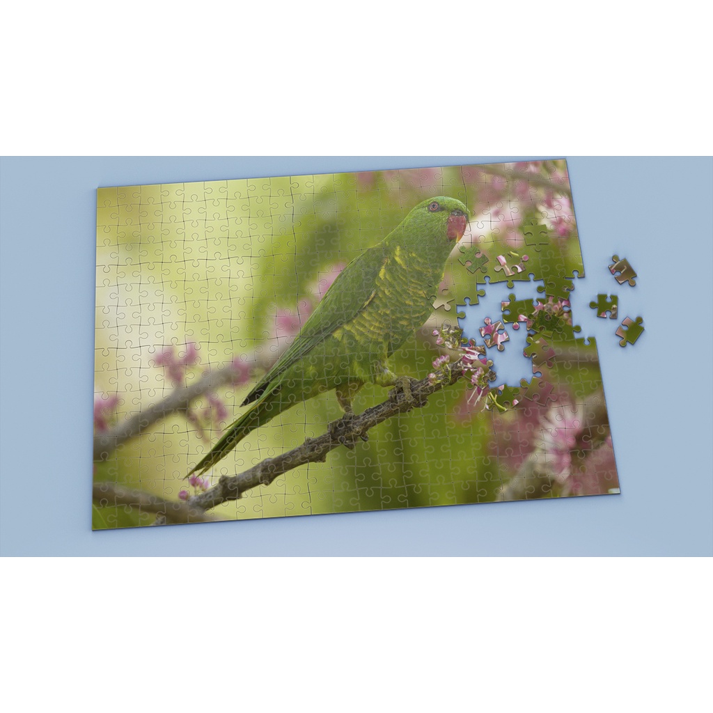 Tranh ghép hình BIRD - Mẫu 22 - Nhận in theo yêu cầu