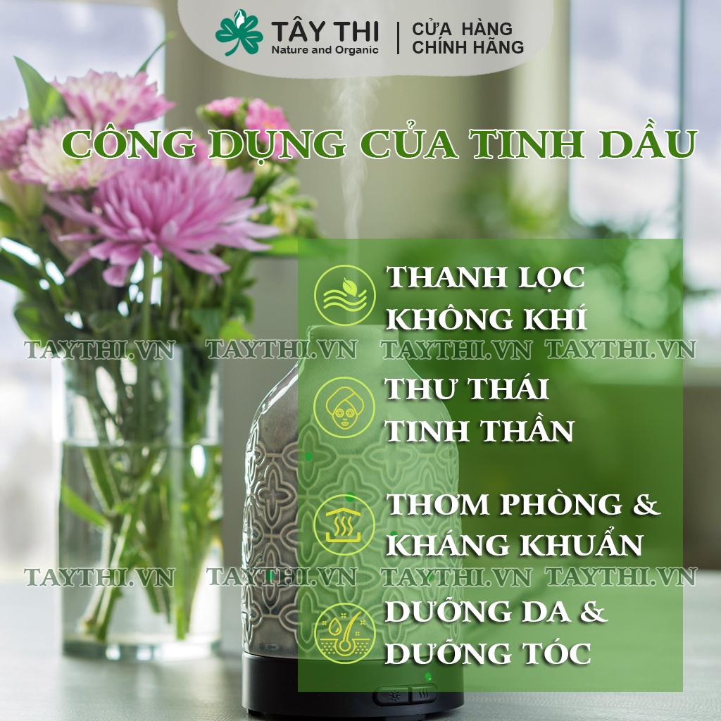 10ml Tinh Dầu Thơm Phòng nguyên chất từ thiên nhiên - Tây Thi nature - Organic - Tinh dầu handmade