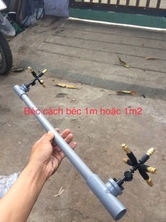 T ren trong nối béc phi 21
